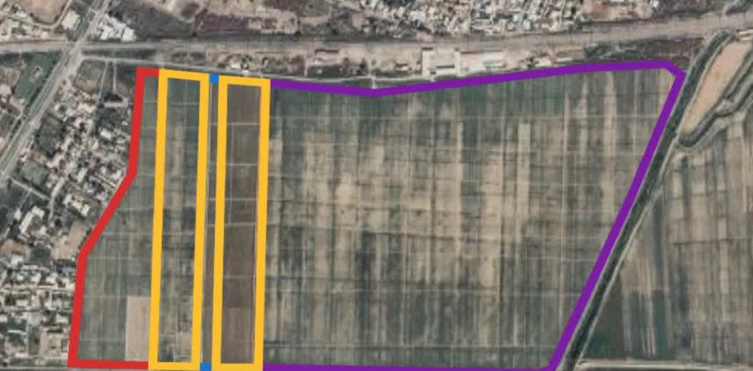 The trial field from above — the blocks laid out and GPS-mapped.
